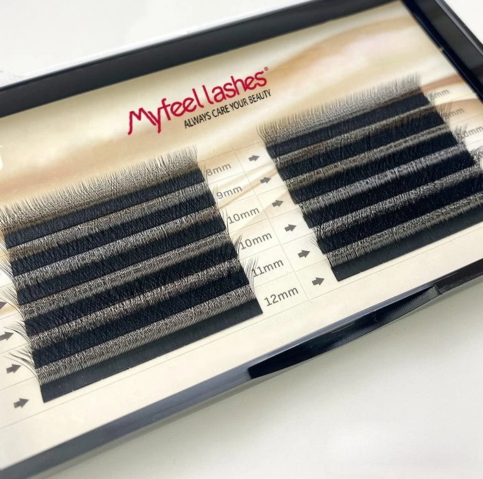 lash extension